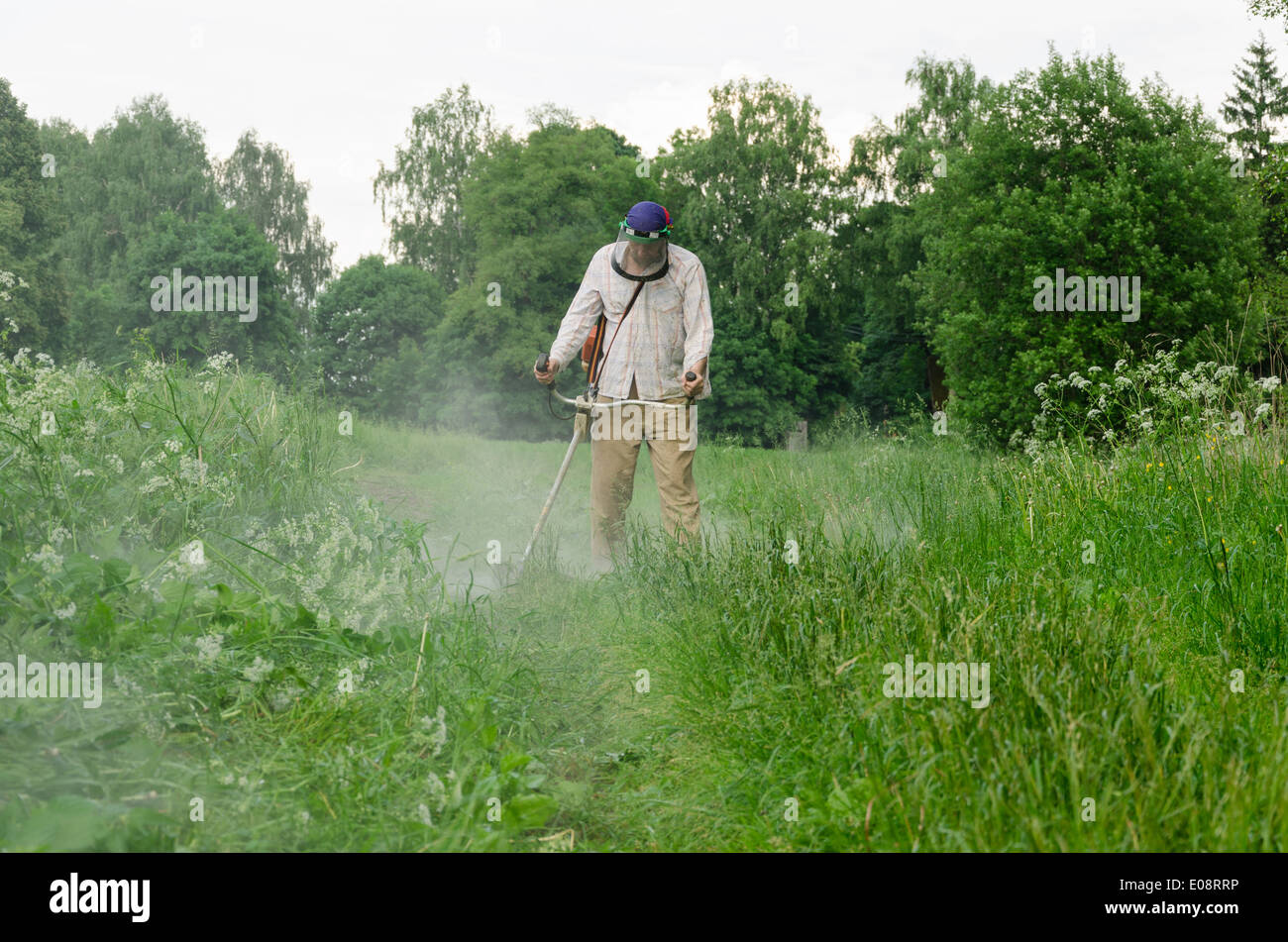 Worker man cut trim mow wet grass after rain Stock Photo
