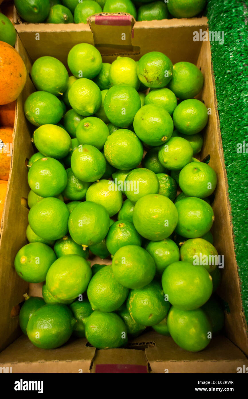 A box of limes is seen in a grocery store in New York Stock Photo Alamy