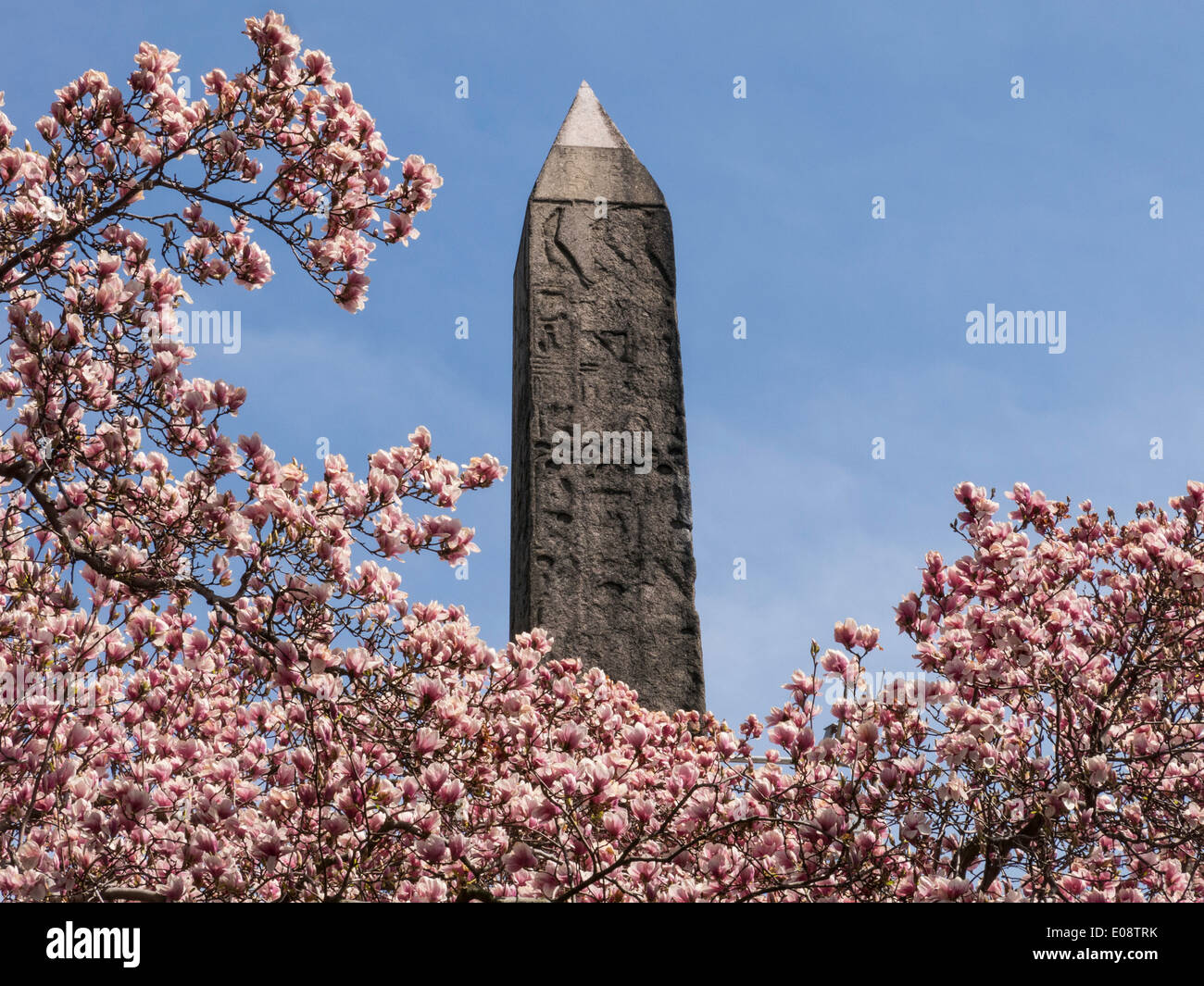 Cleopatra S Needle Obelisk Central Park Nyc Usa Stock Photo Alamy