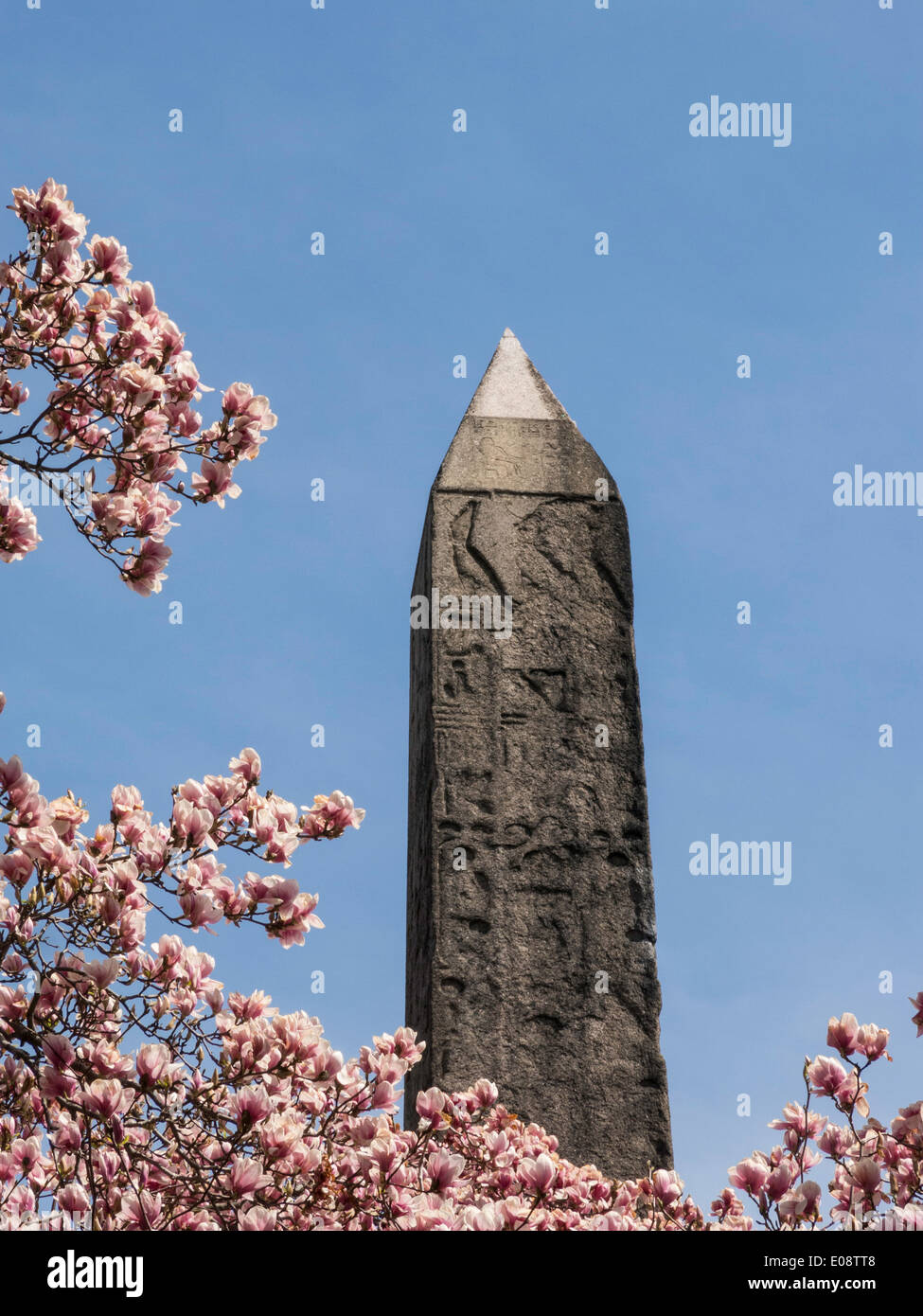 Cleopatra S Needle Obelisk Central Park Nyc Usa Stock Photo Alamy