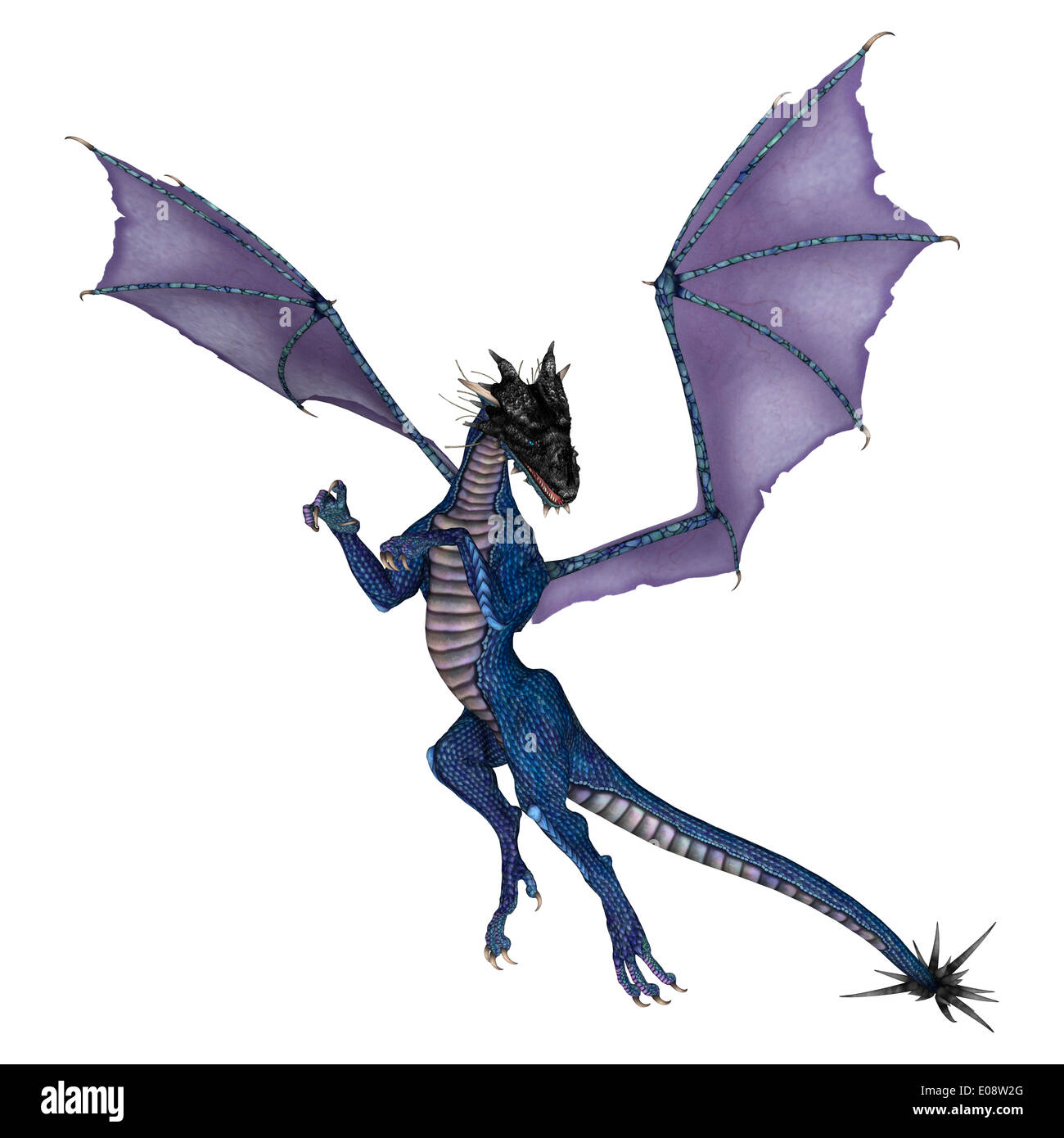 3D digital render of a flying blue fantasy dragon isolated on white ...
