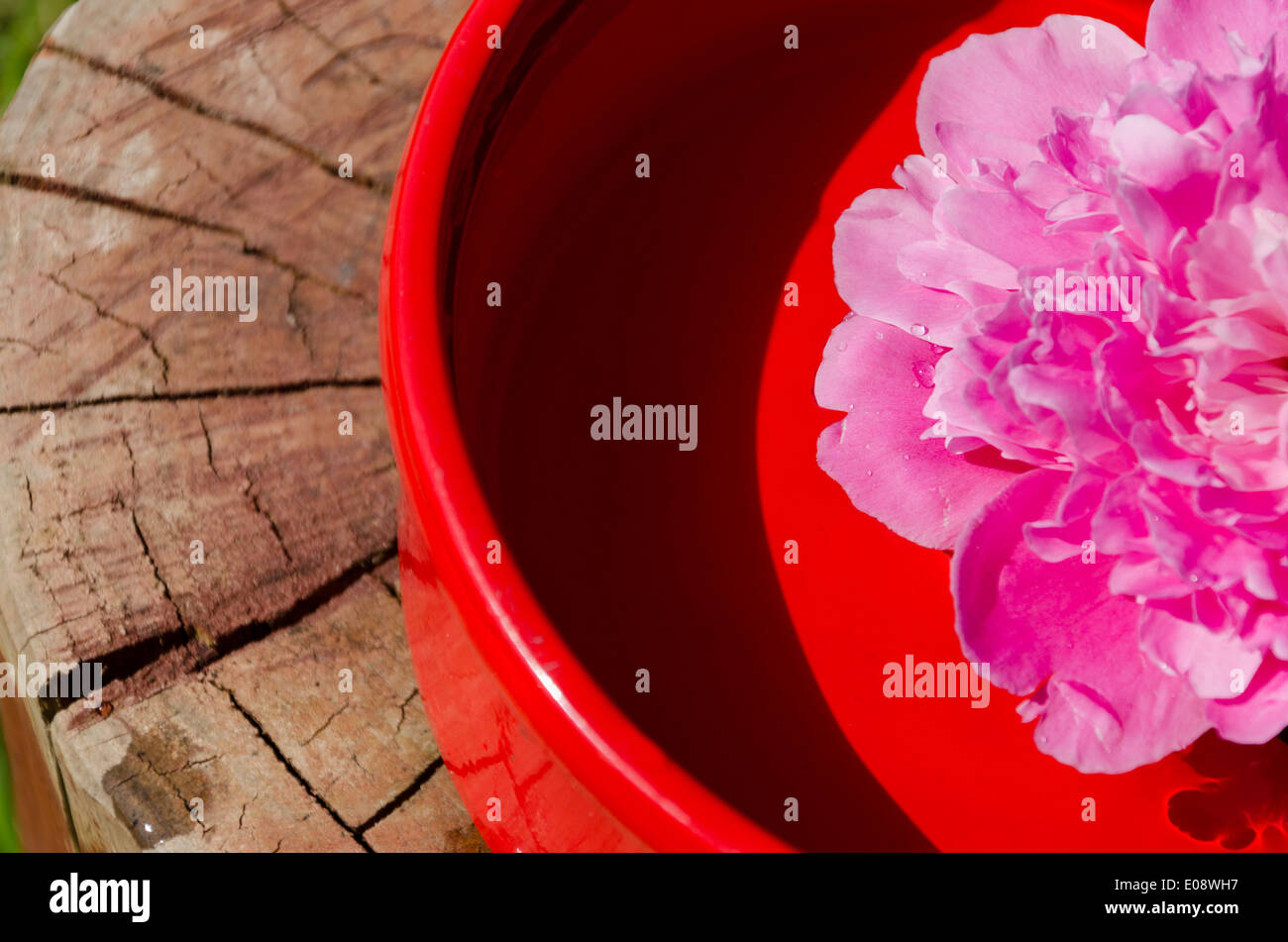 concept of pink peony petals in clay bowl on wooden surface Stock Photo
