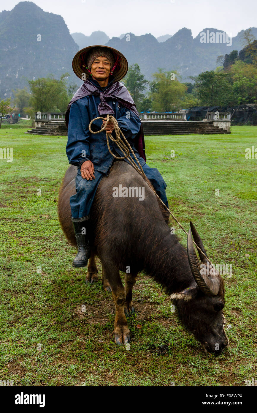 beskydning Array klasse Local Man Riding A Water Buffalo, Hoa Lu, Ninh Bình Province, Vietnam Stock  Photo - Alamy