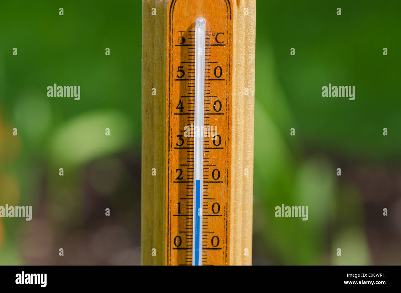 wooden outdoor thermometer shows 20 degrees celsius on nature
