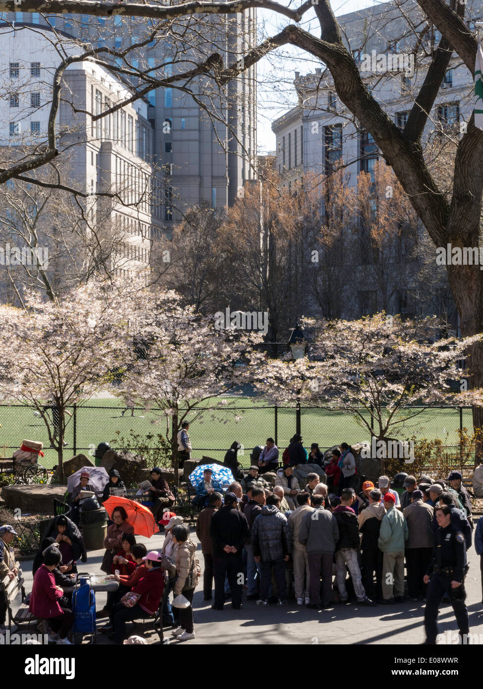 Columbus Park is popular in Chinatown, New York City,  USA Stock Photo