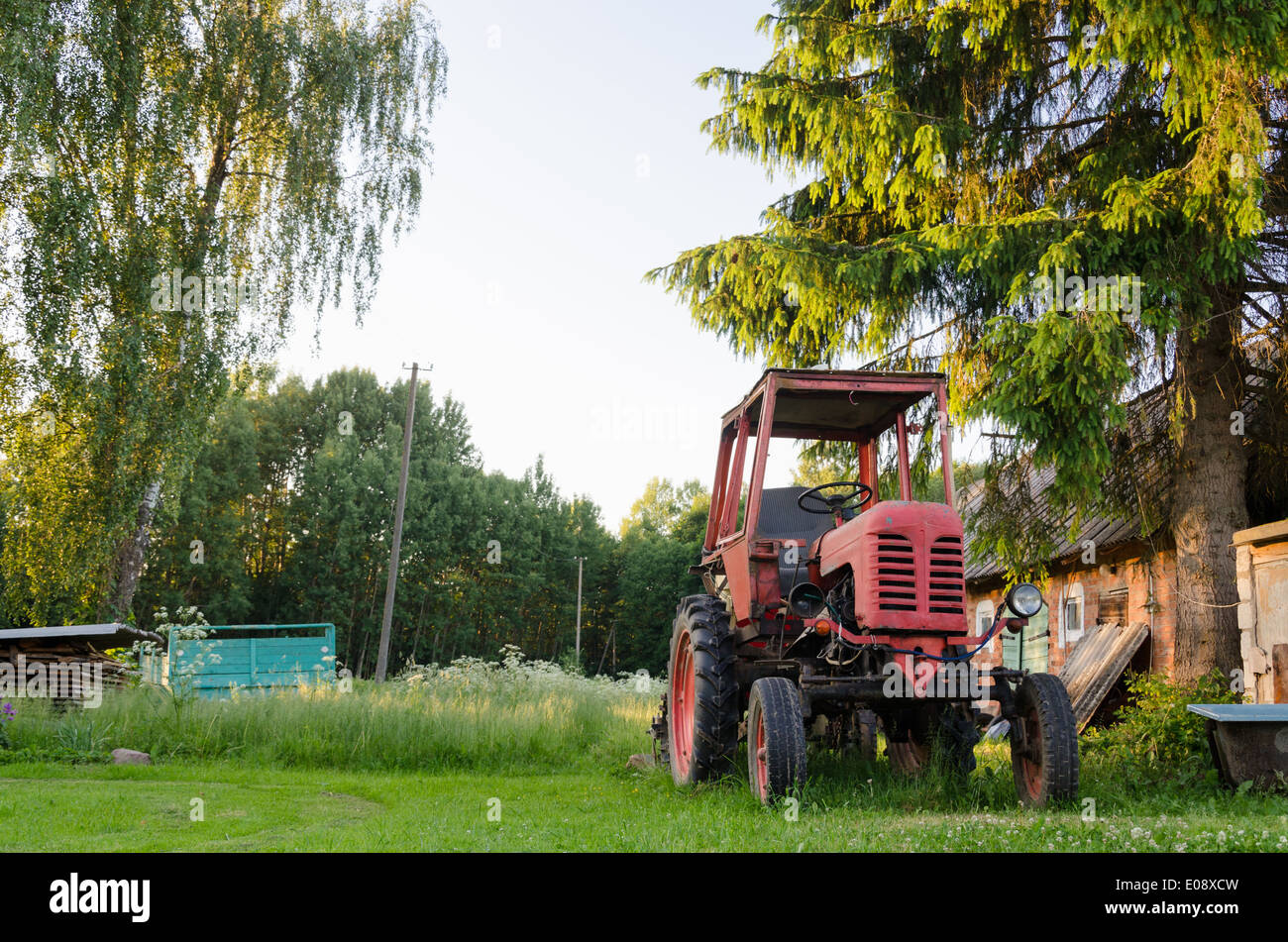 close up of old rural tractor with red wheels in garden nature Stock Photo
