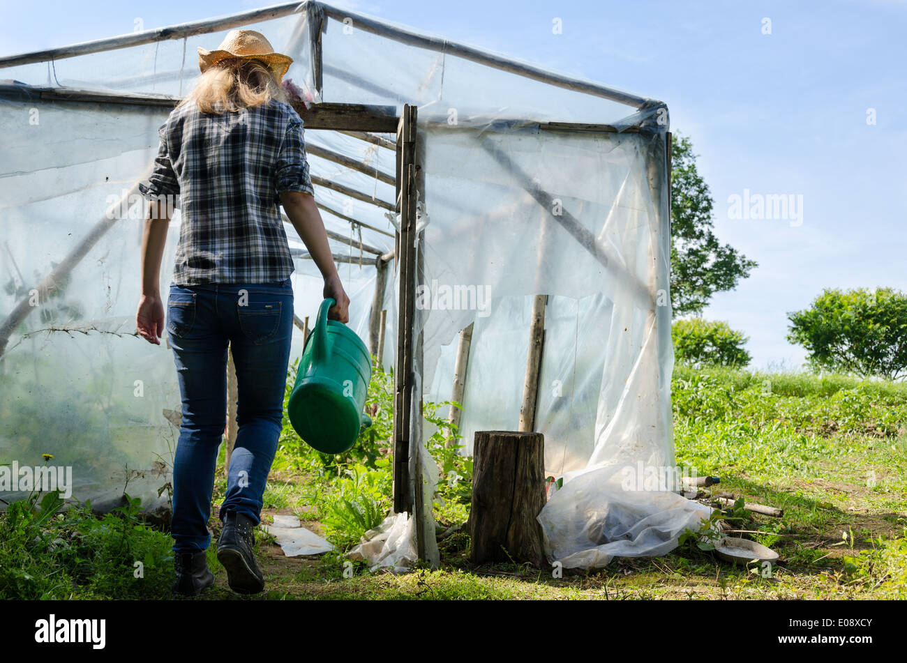 Gardener woman with watering-can tool walk in handmade greenhouse conservatory. Stock Photo