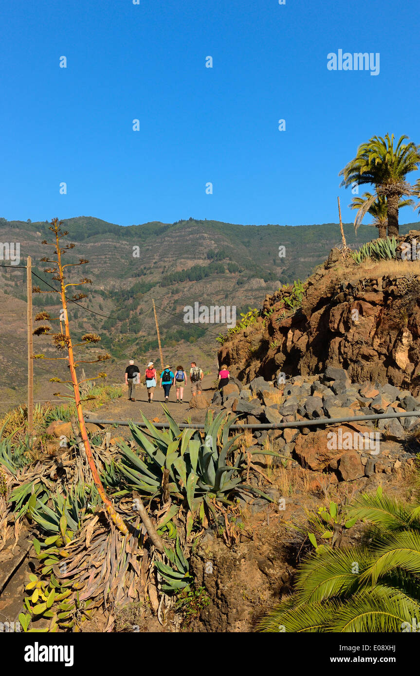 Santiago Ravine walking trail, La Gomera, Santa Cruz de Tenerife, Canary Islands, Spain Stock Photo