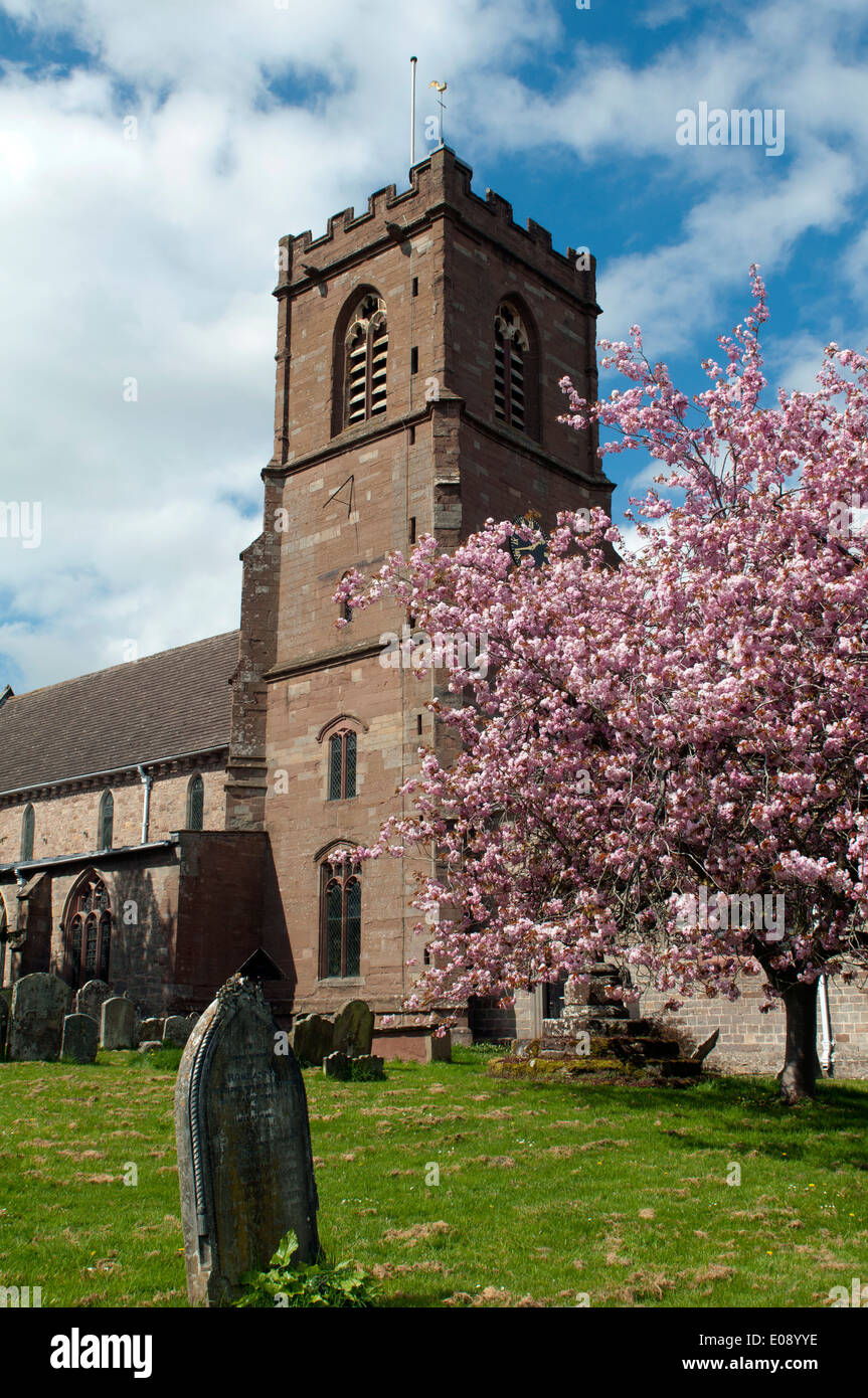 Much marcle church hi-res stock photography and images - Alamy