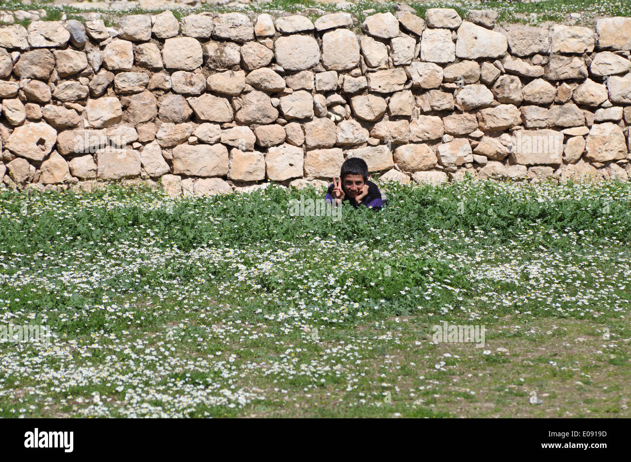 A young boy gives the Kurdish victory sign in a field of camomile, ancient Hasankeyf, the village subsequently submerged by the Ilisu dam, Diyarbakir Province, south east Turkey Stock Photo