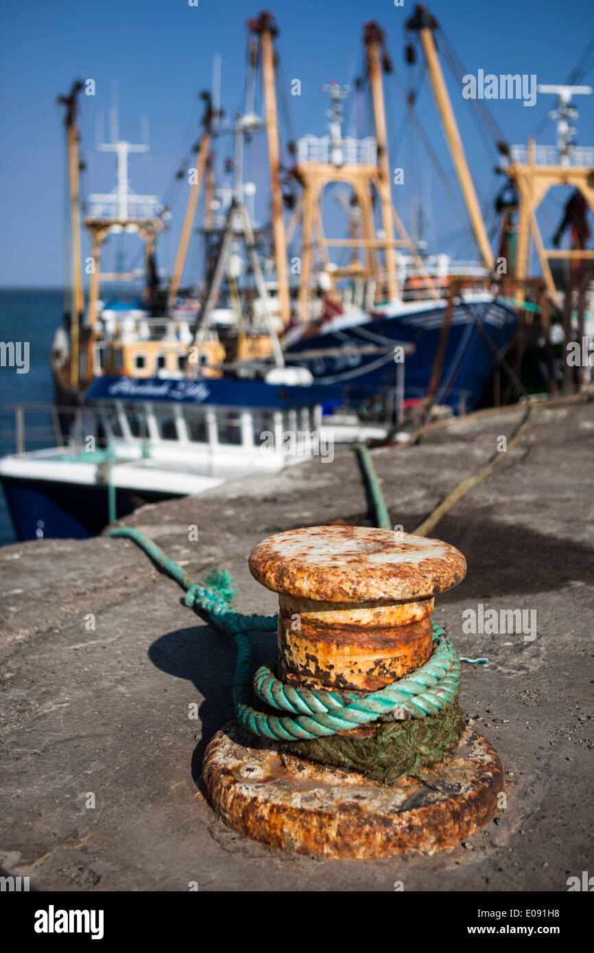 Fishing boats tied up in Kilmore Quay, Wexford, Ireland Stock Photo - Alamy
