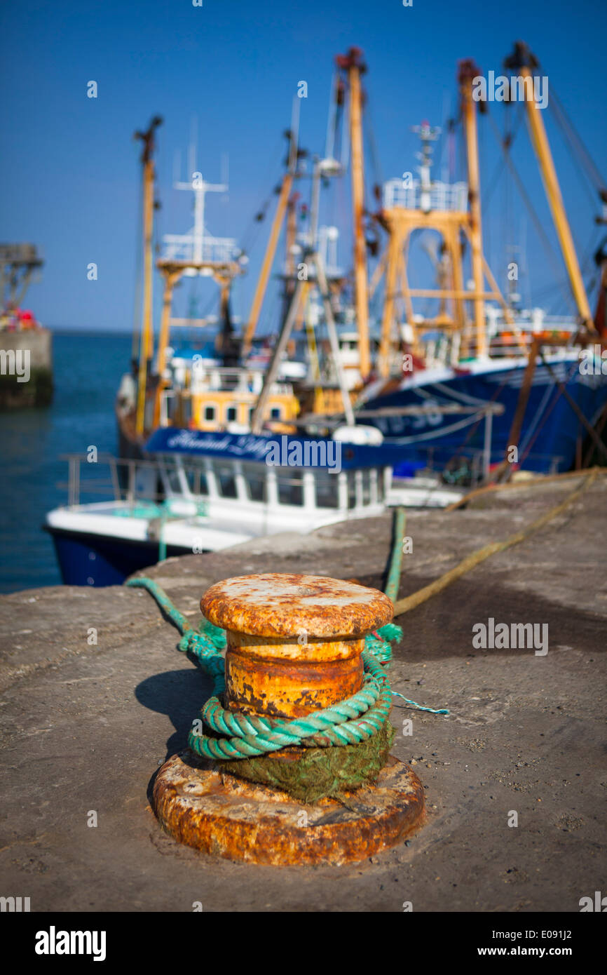 Fishing boats tied up in Kilmore Quay, Wexford, Ireland Stock Photo - Alamy