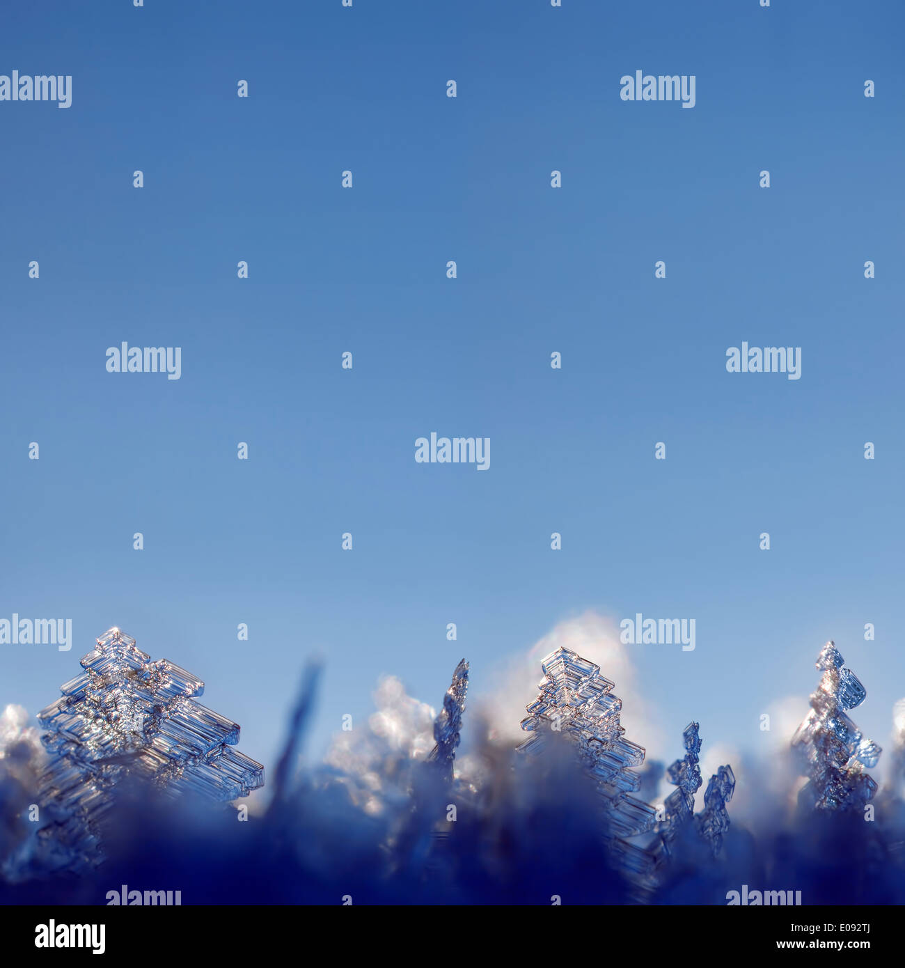 Panorama close up frozen hi-res stock photography and images - Alamy