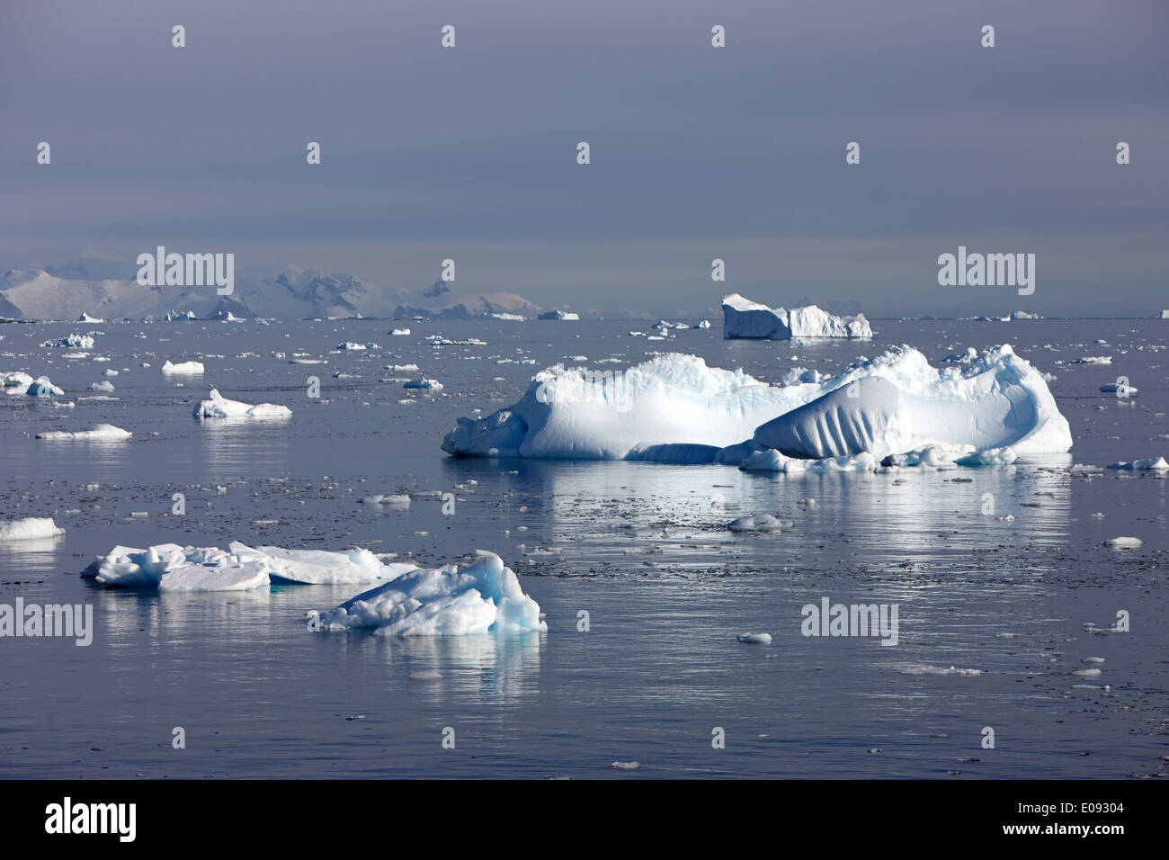 brash ice and icebergs in the french passage Antarctica Stock Photo - Alamy