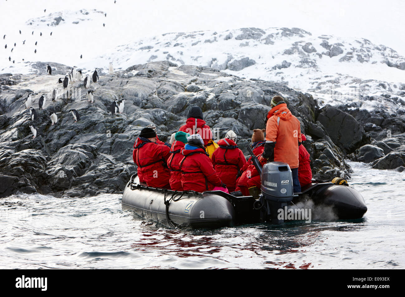 antarctic expedition zodiac boat approaching chinstrap penguin colony cierva cove antarctica Stock Photo