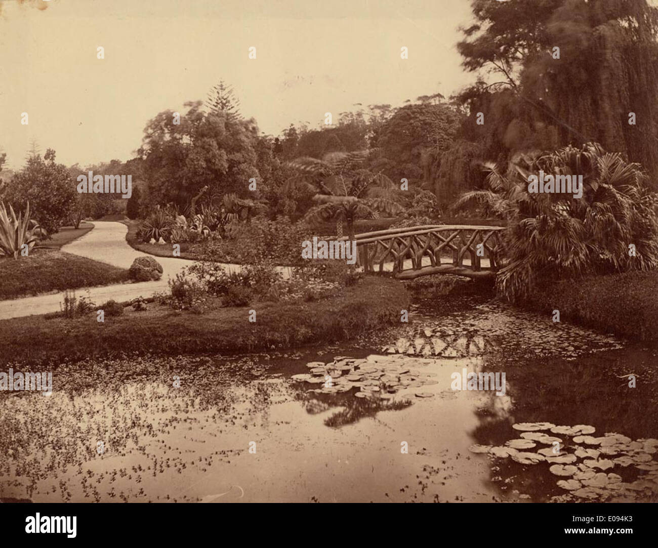 [Pond and bridge, Botanic Gardens, Sydney / attributed to the photographer William Vosper] Stock Photo