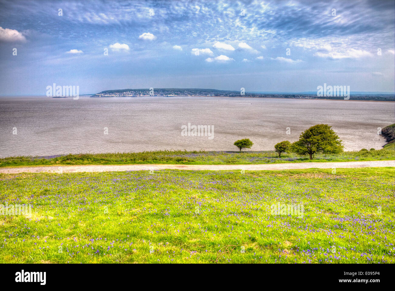 Bluebells and weston-super-mare bay from Brean Down Somerset in spring in colourful HDR Stock Photo