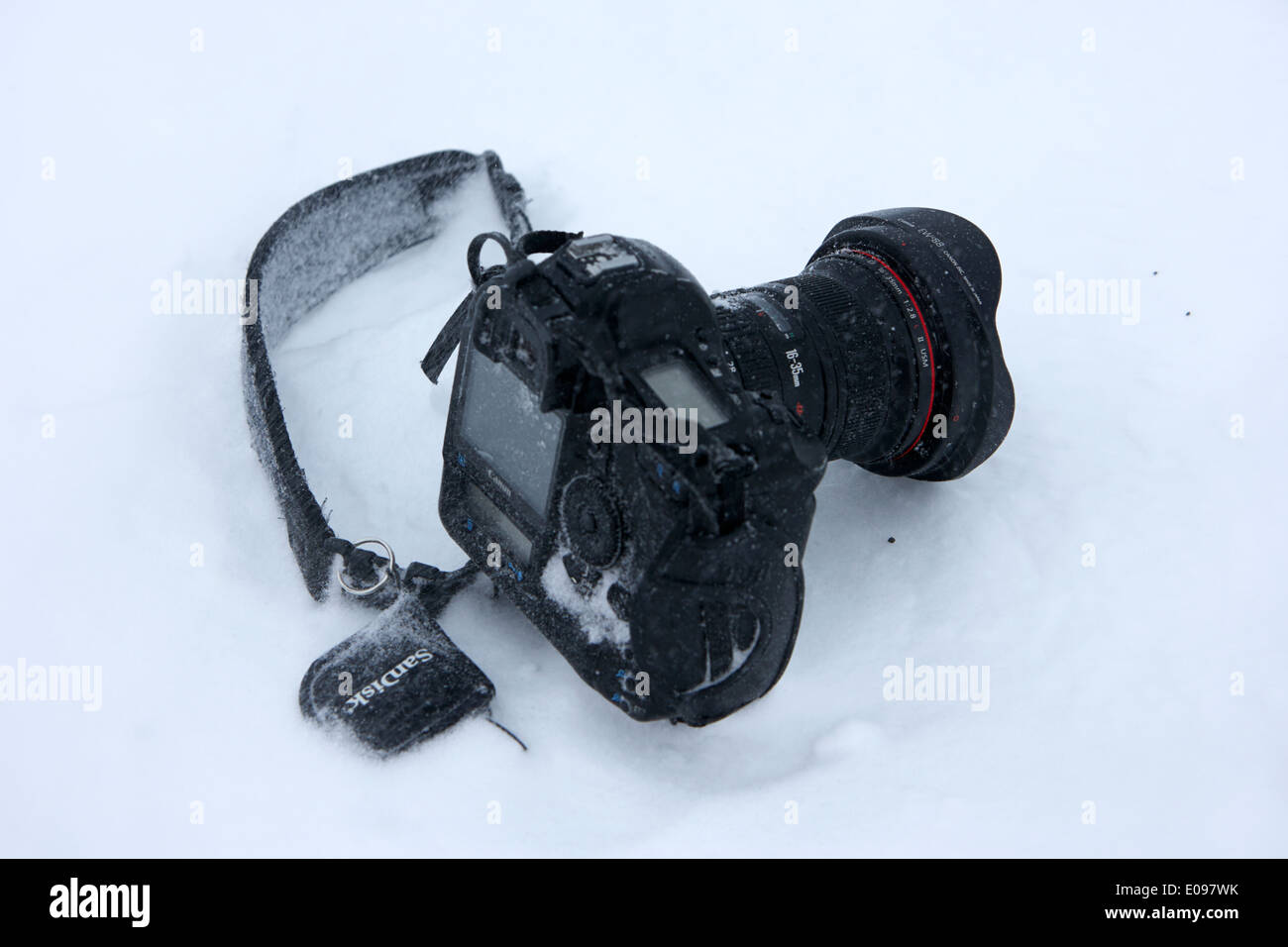 canon 1dsmk3 camera with 16-35 mk2 lens and sandisk cards owned by photographer Joe Fox getting buried in the snow antarctica Stock Photo