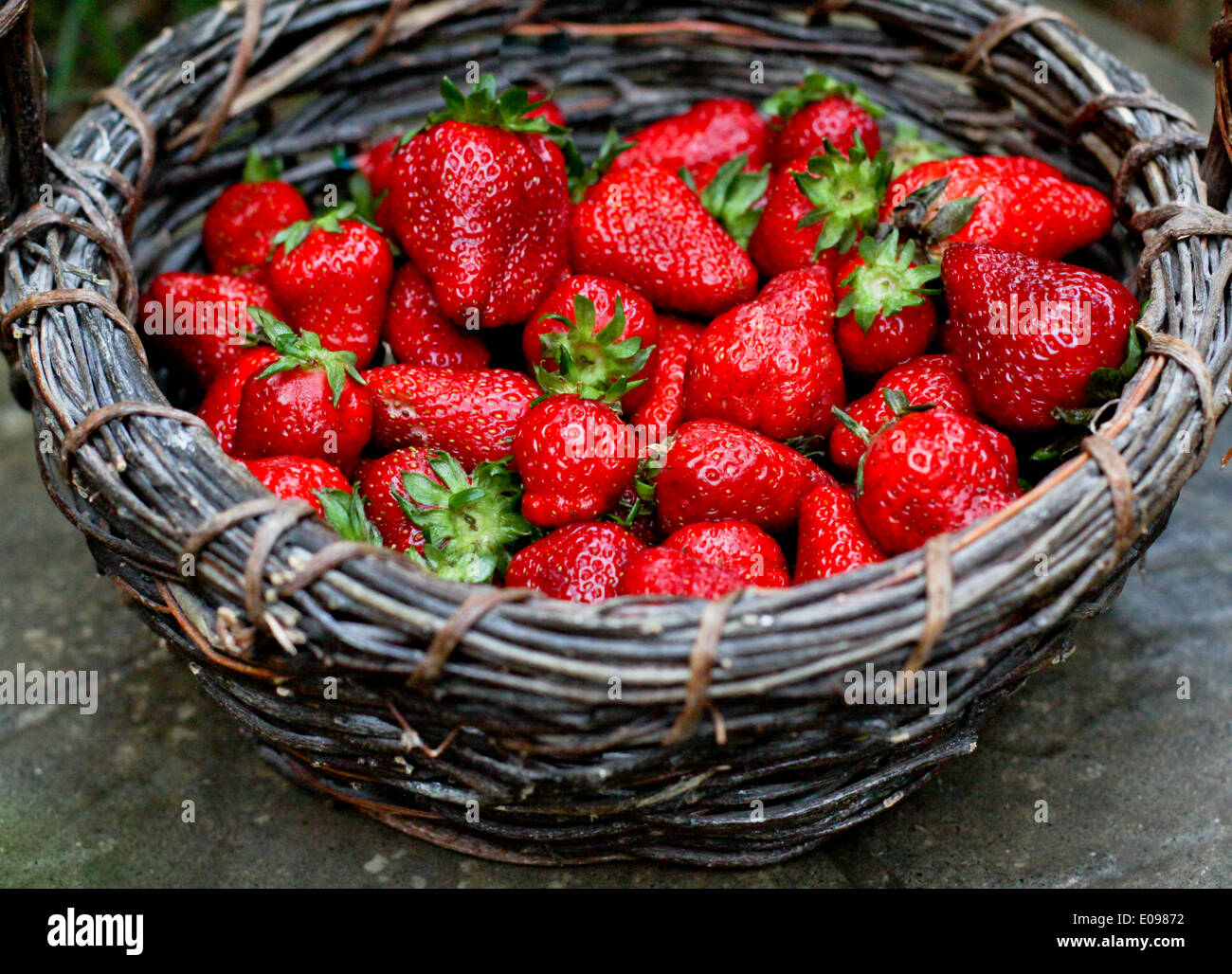 Summer Strawberries Stock Photo Alamy