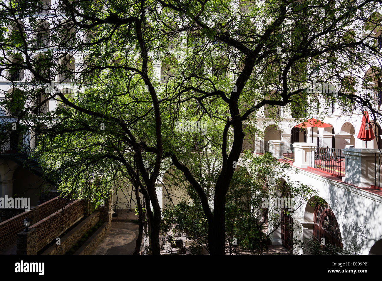 A tree covered courtyard surrounded by arched colonnade. Stock Photo