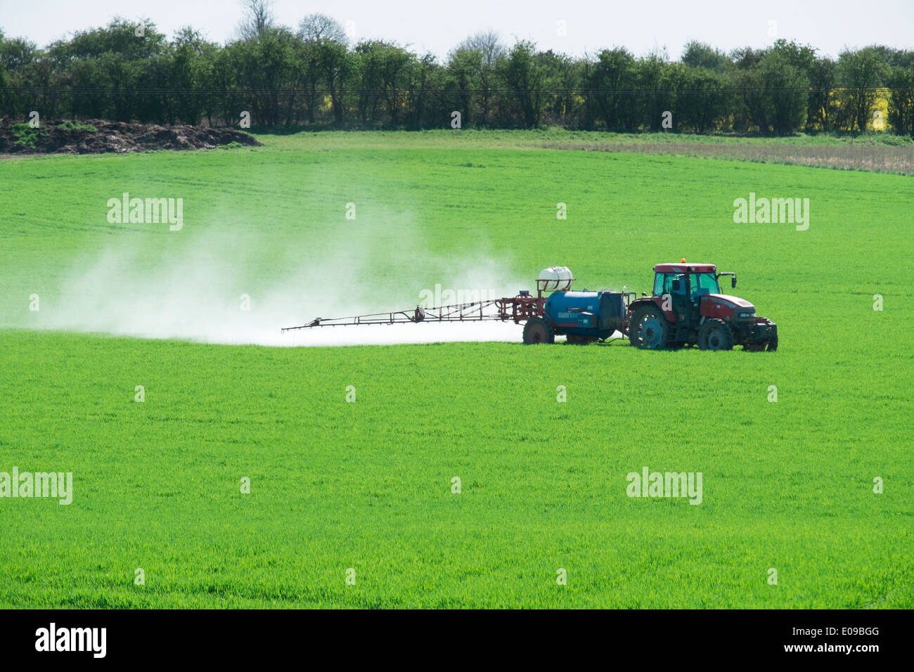Tractor and spraying unit on cereal crop, showing significant spray drift. Stock Photo