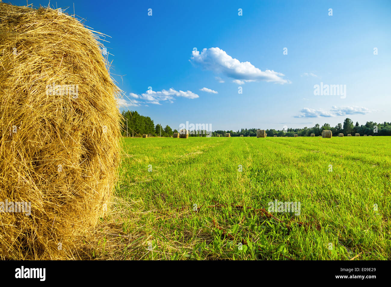 Rural landscape field sky hi-res stock photography and images - Alamy