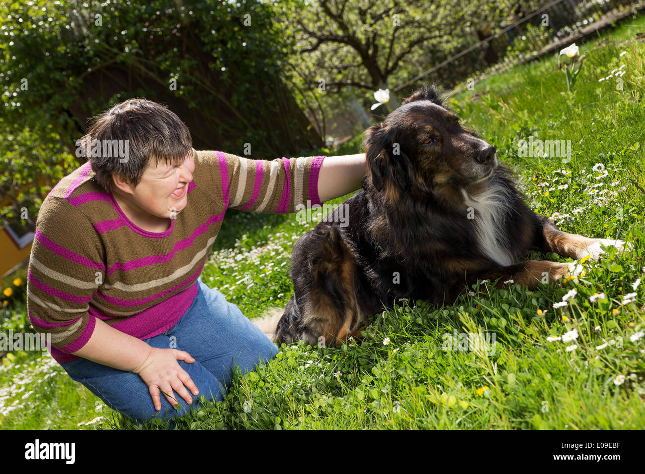 disabled woman on a lawn is stroking a dog Stock Photo