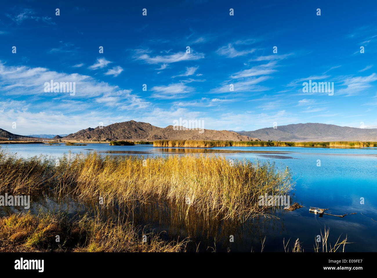 Reeds and lake in the autumn Stock Photo