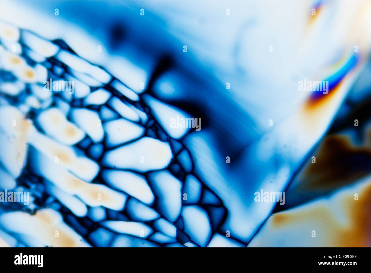 Micro Crystals in polarized Light Stock Photo - Alamy