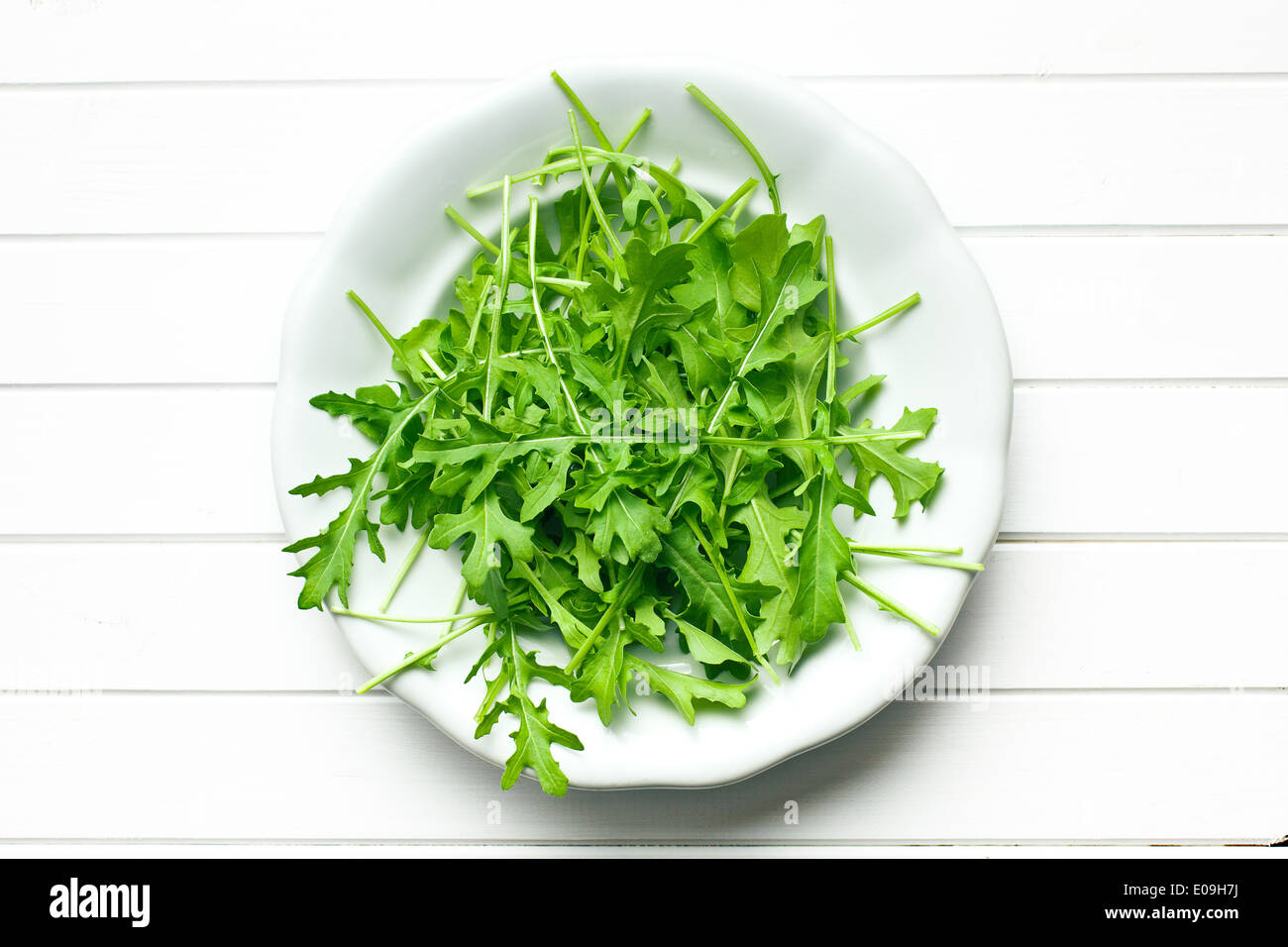 the arugula leaves in plate Stock Photo