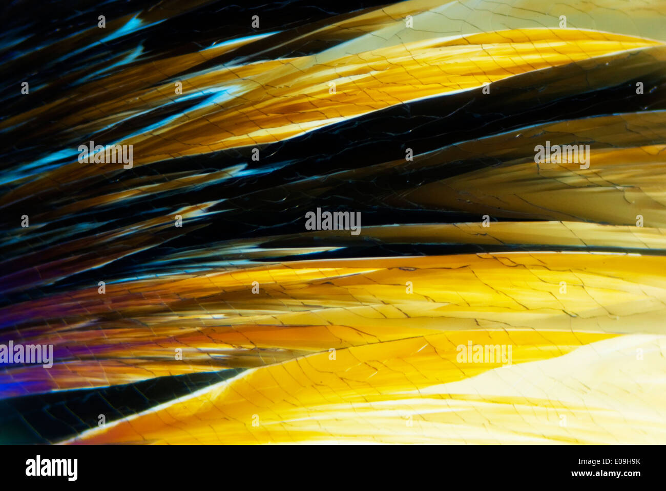 Micro Crystals in polarized Light Stock Photo - Alamy