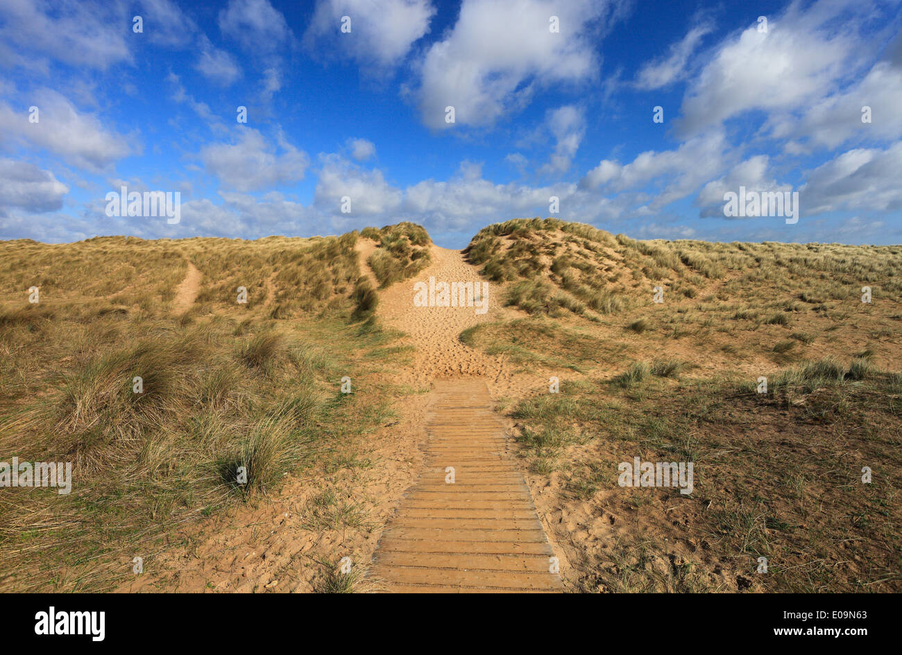 Path over the sand dunes at Burnham Overy on the North Norfolk coast. Stock Photo