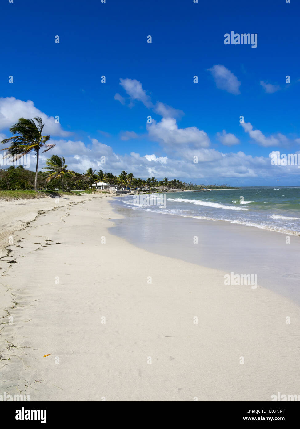 Caribbean, Saint Lucia, Beach at VieuxFort Stock Photo Alamy