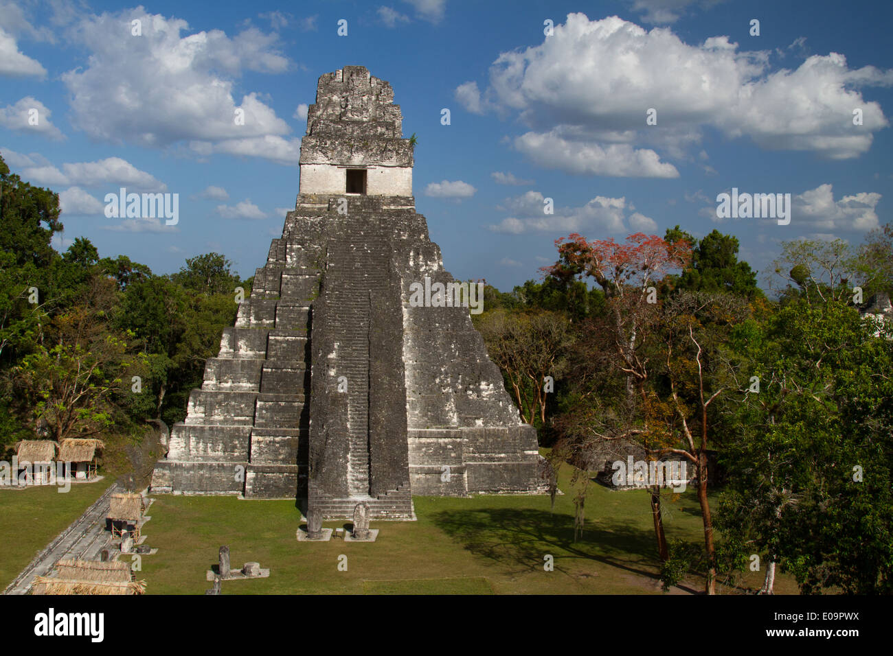Temple I & Grand Plaza, Tikal, Guatemala Stock Photo