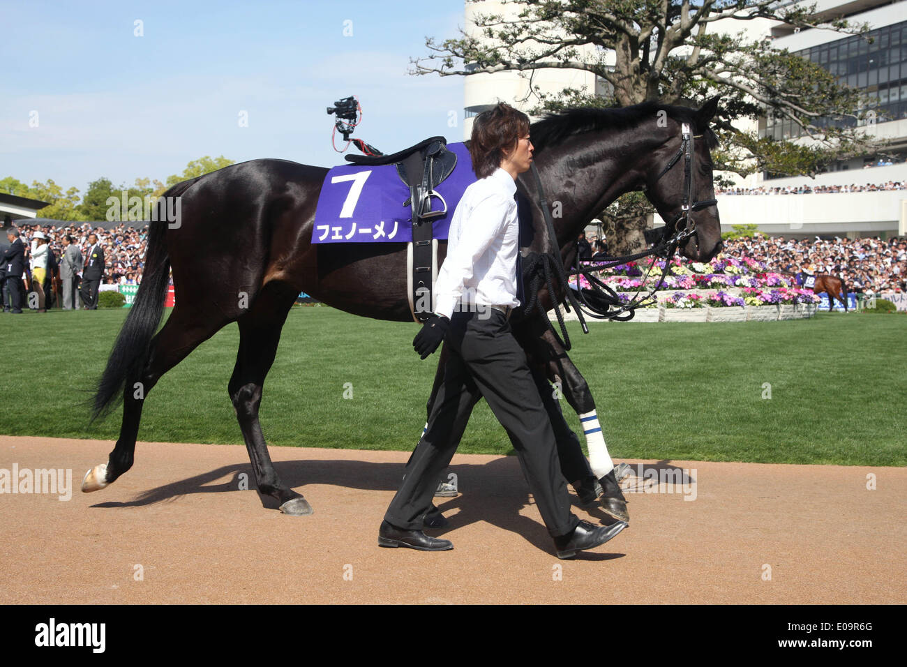 Fenomeno hires stock photography and images Alamy