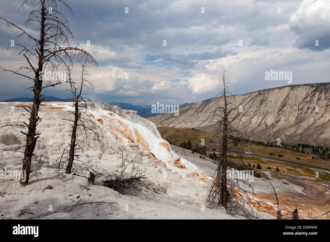 Mammoth Hot Springs, Yellowstone National Park Stock Photo