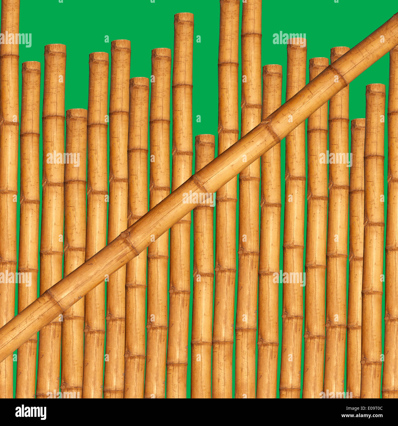 Bamboo sticks in front of green background Stock Photo - Alamy