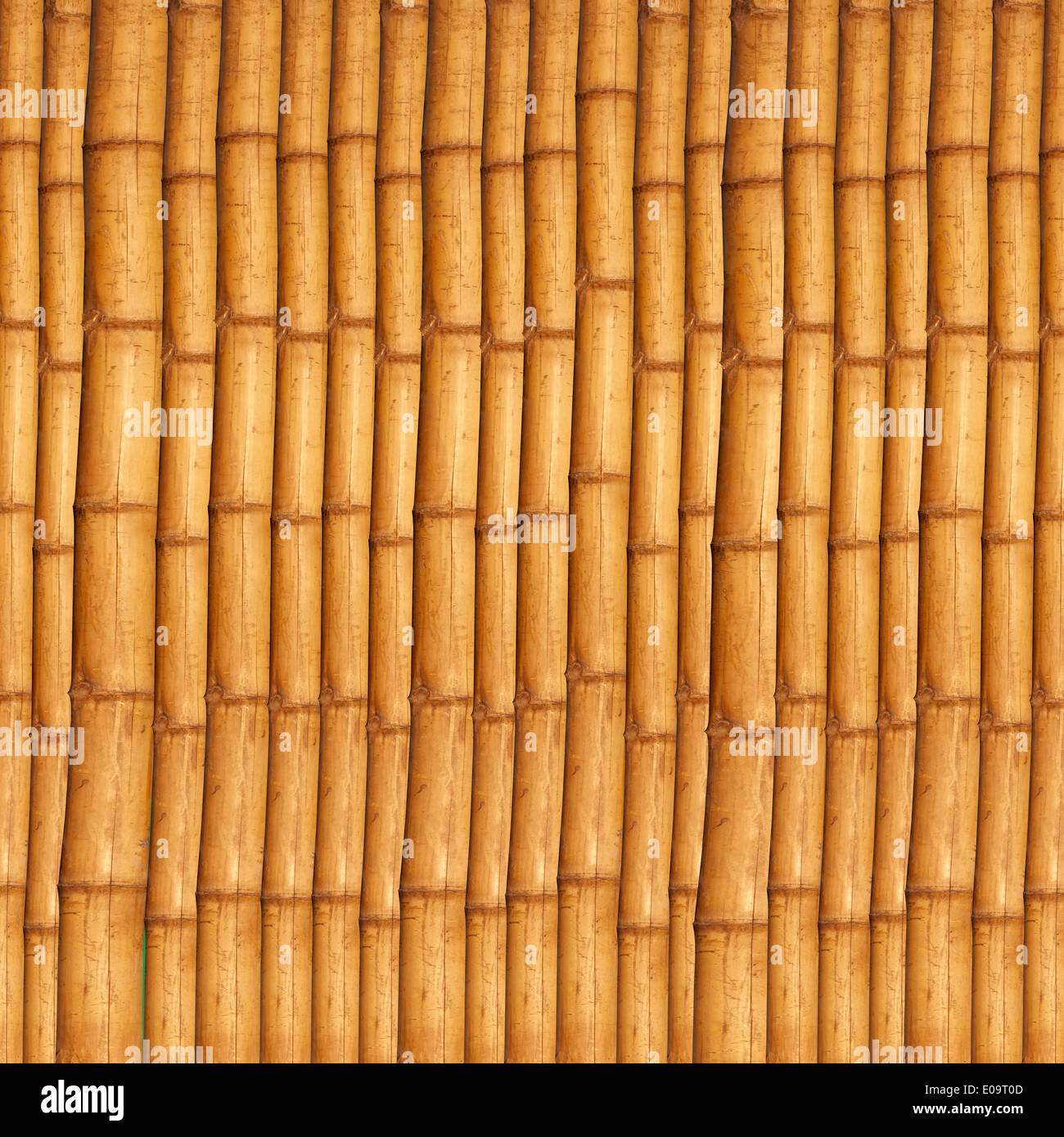 Bamboo sticks Stock Photo