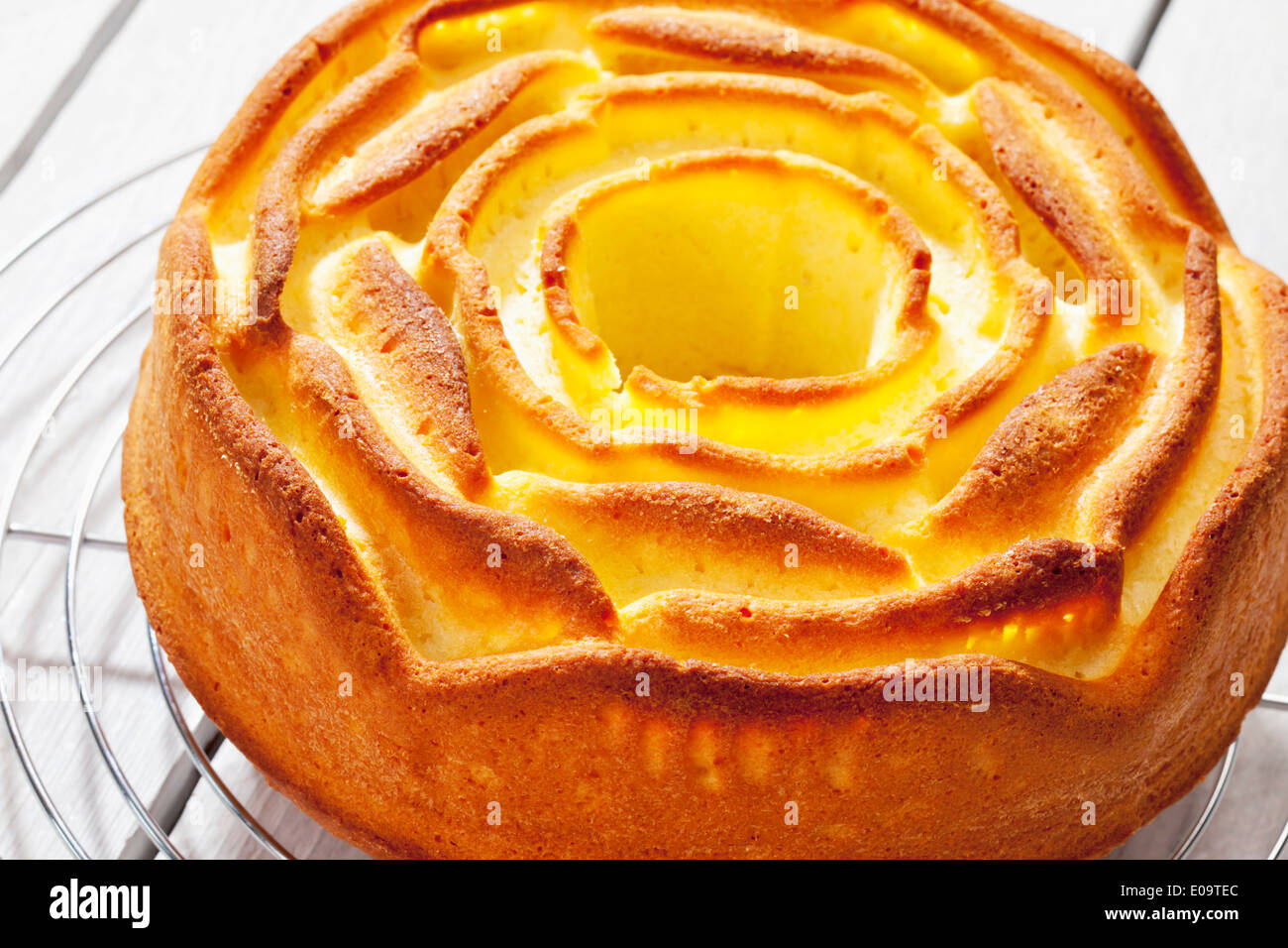 Cake on cooling grid Stock Photo Alamy