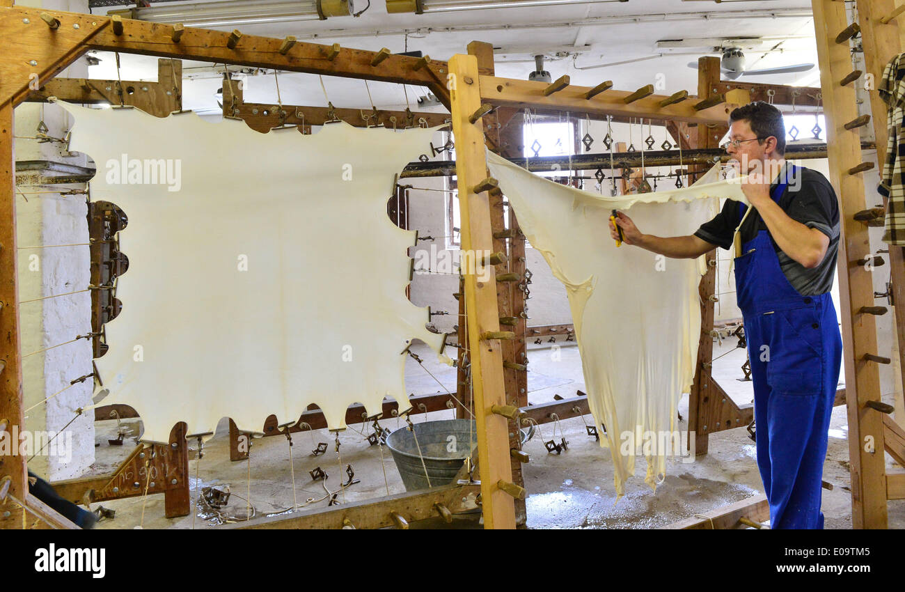 Altenburg, Germany. 24th Mar, 2014. A members of staff of parchment manufacturer 'Altenburger Pergament & Trommelfell GmbH' spans a sheet of wet parchment into a large wooden frame in Altenburg, Germany, 24 March 2014. The company was founded in 1882 and is nowadays one of the last remaining producers of parchments in Germany. Photo: Martin Schutt/dpa/Alamy Live News Stock Photo