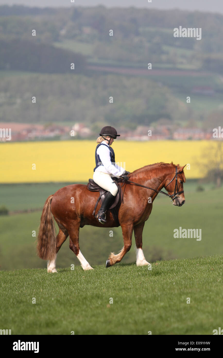 A girl riding her horse in a field at a local show Stock Photo