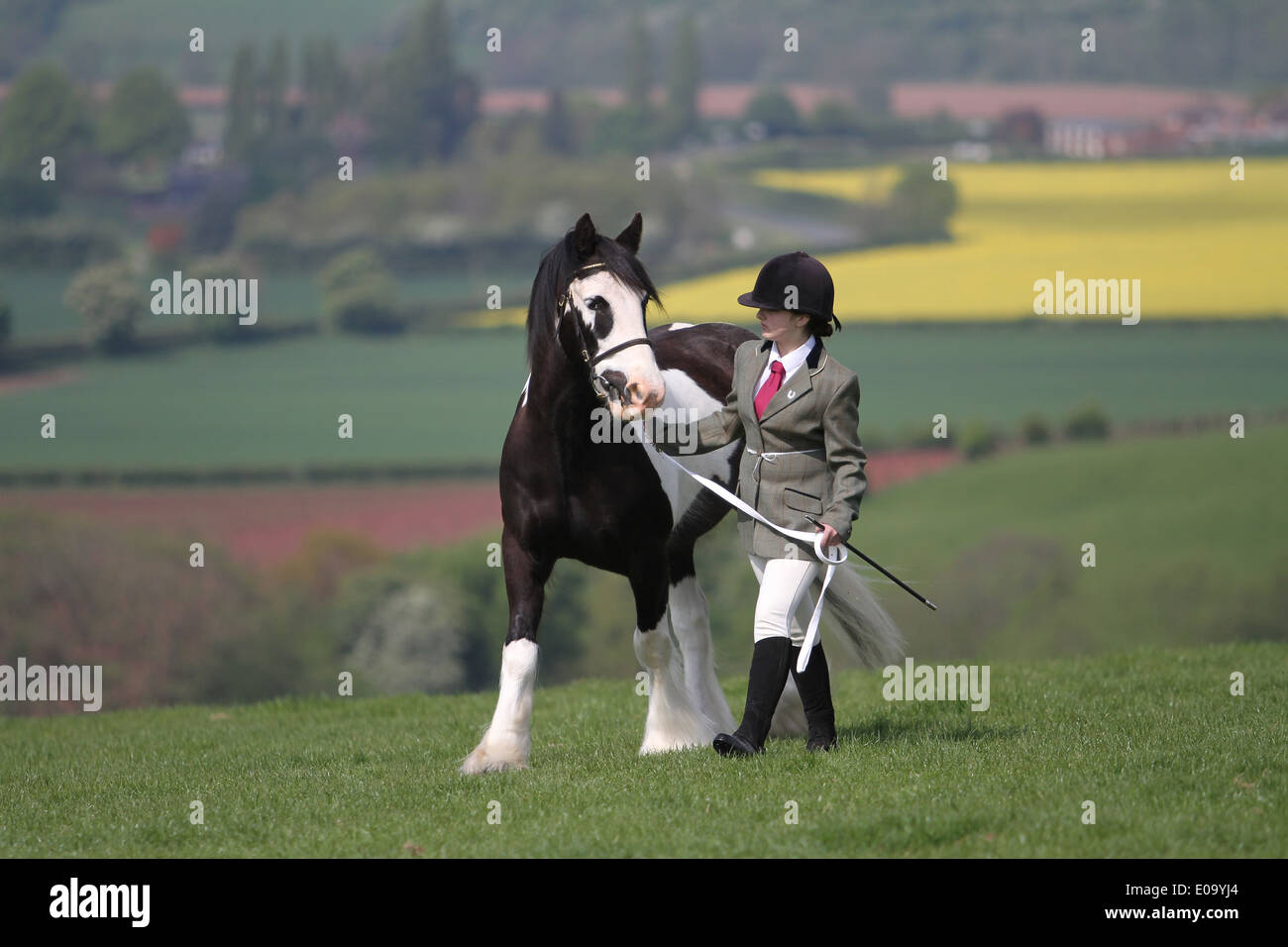 Handler and horse hires stock photography and images Alamy