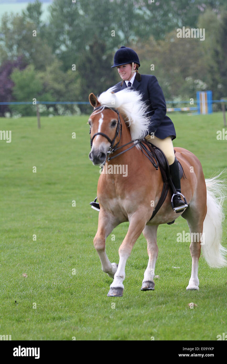 Horse and rider cantering around a ring at a local show Stock Photo Alamy