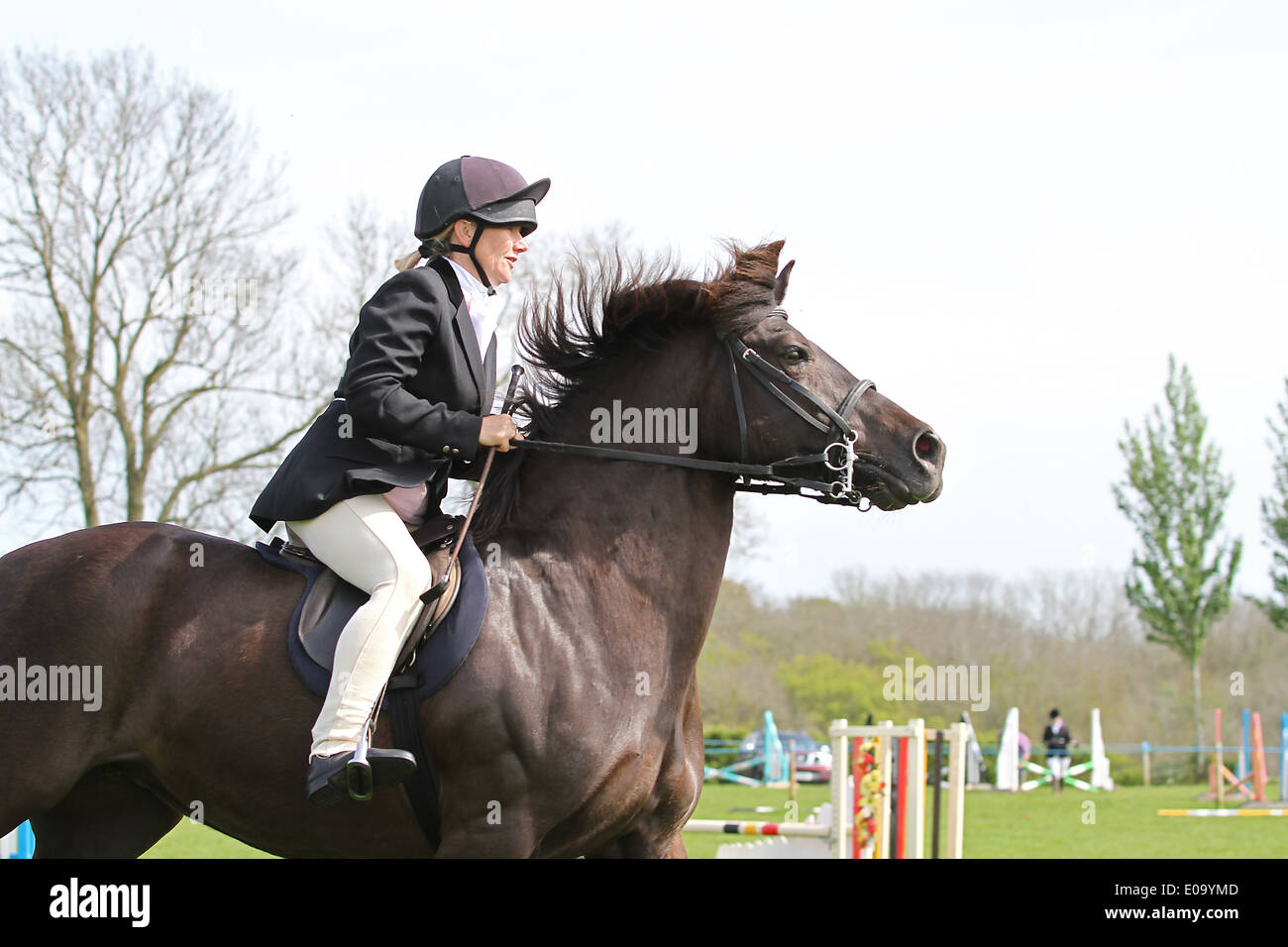 Horse and rider cantering around a ring at a local show Stock Photo Alamy