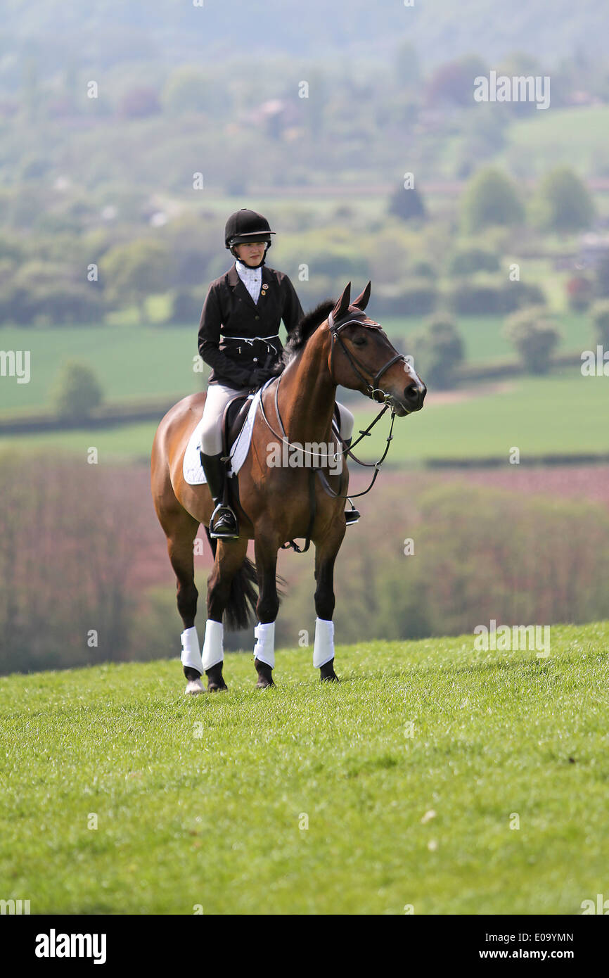 Horse and rider standing relaxed at a local show Stock Photo - Alamy