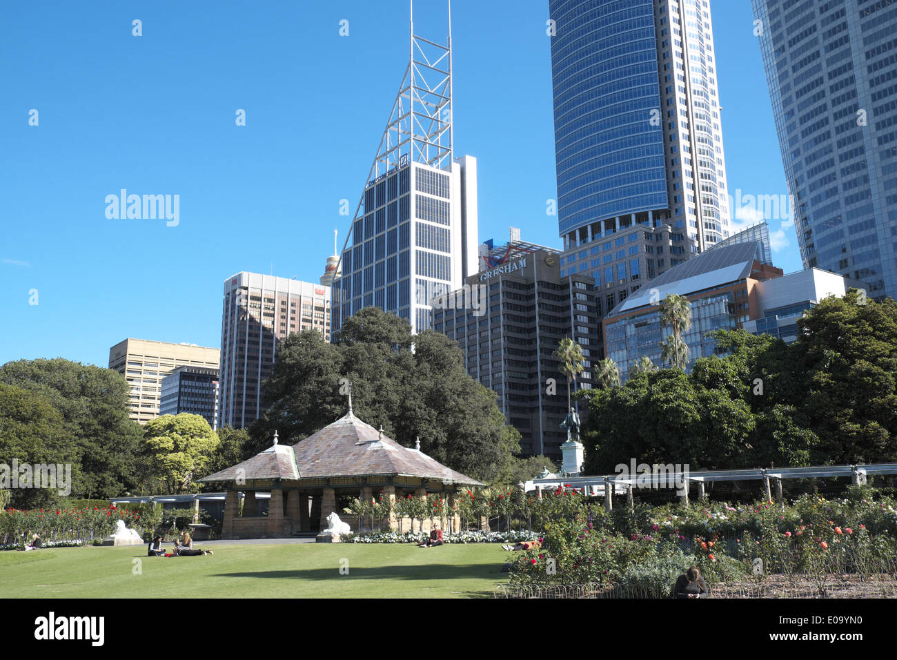 Royal Botanic Gardens in Sydney with aurora place,chifley tower and governor macquarie tower Stock Photo