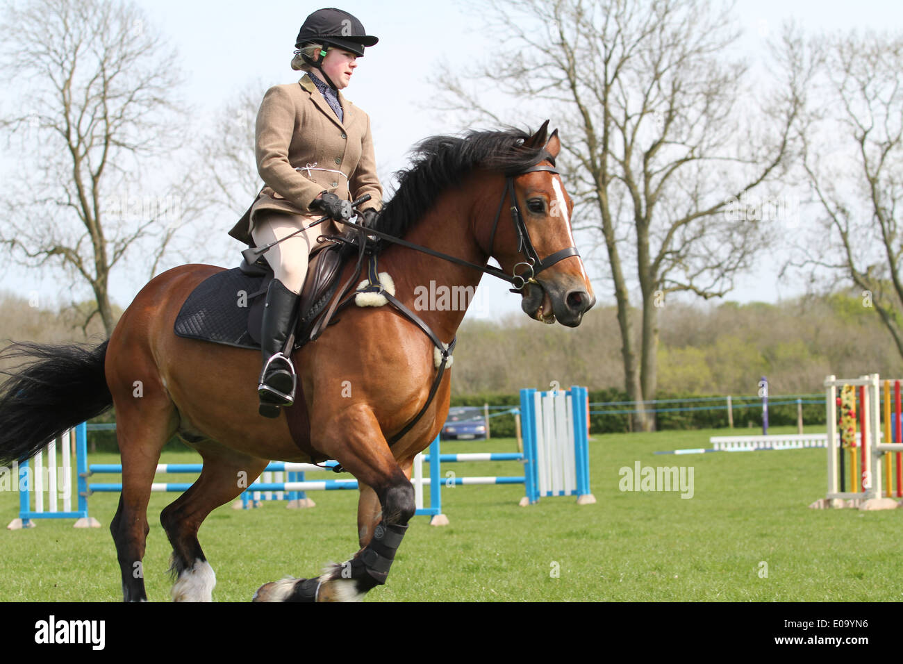 Horse and rider cantering around a ring at a local show Stock Photo Alamy