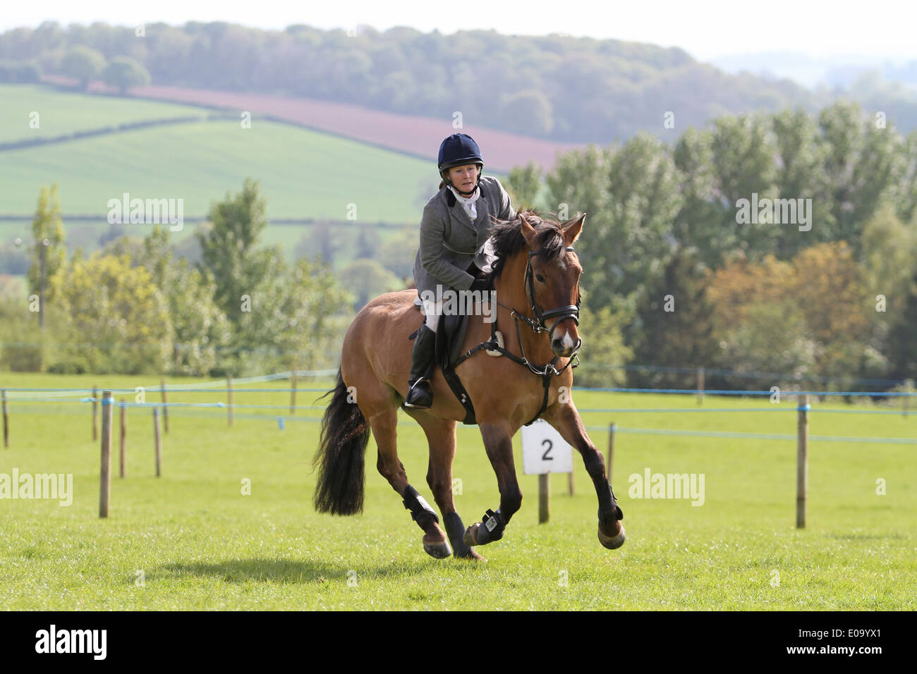 Horse and rider cantering around a ring at a local show Stock Photo Alamy