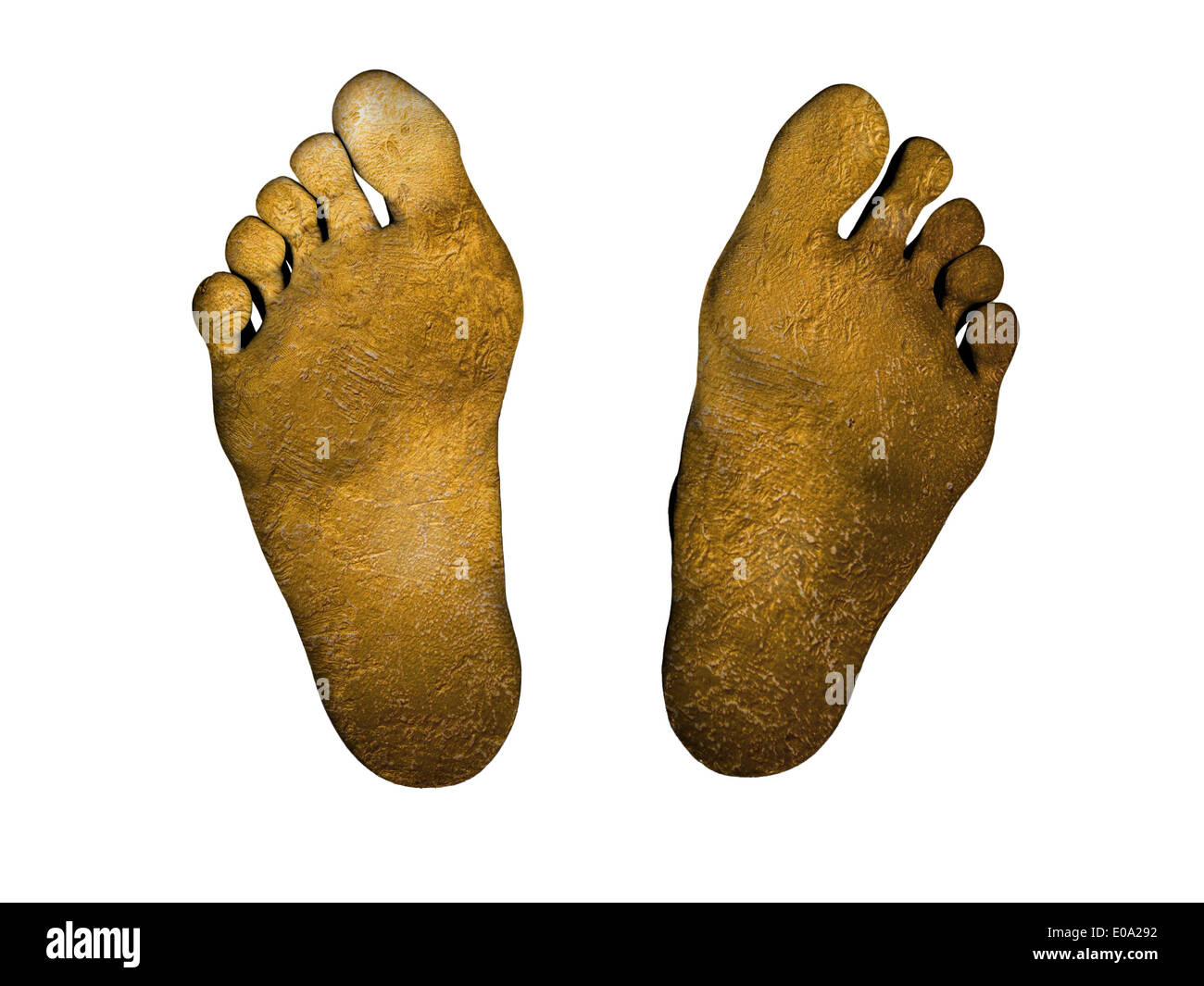 Human feet isolated on white golden feet Stock Photo Alamy