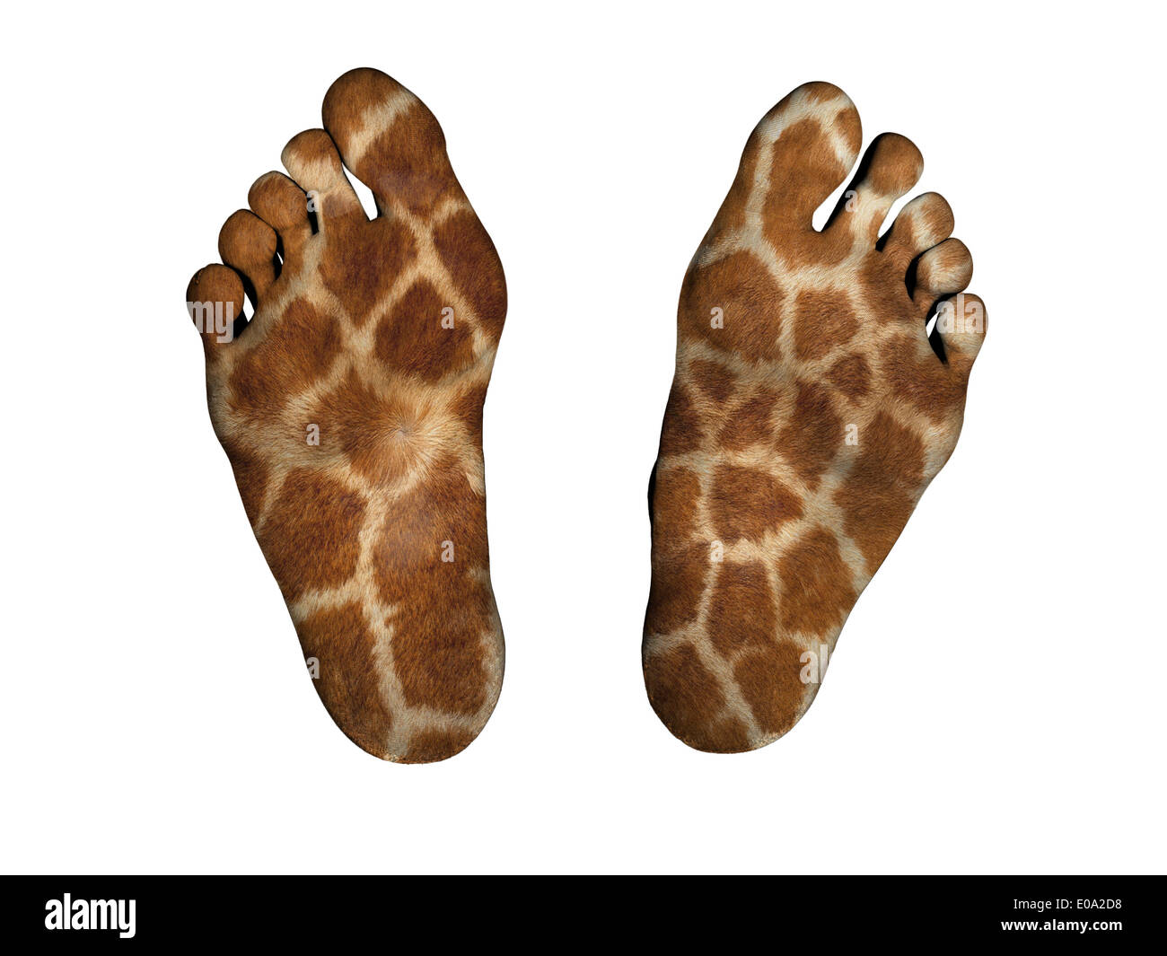 Human feet isolated on white  giraffe print Stock Photo